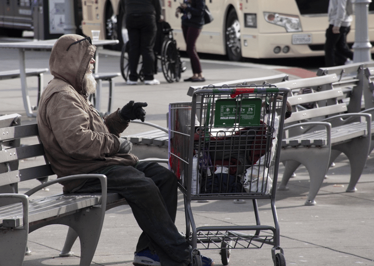 37% of homeless people lack shelter