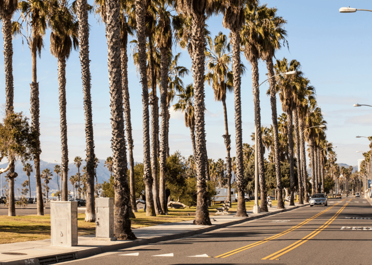 California tops all states in number of homeless students