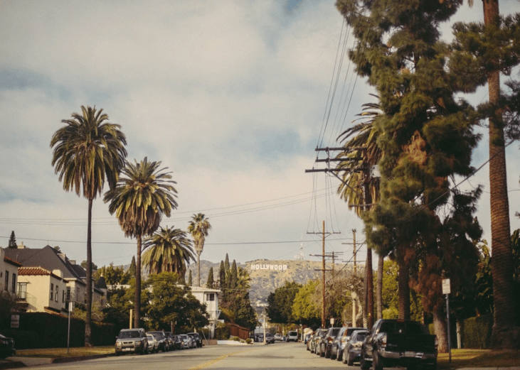 California, New York have high numbers and rates