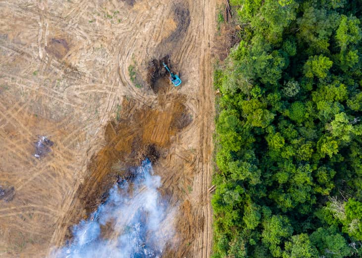Aerial view of deforestation
