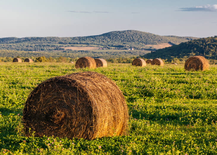 Maine: Aroostook County