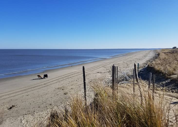 Delaware: Sussex County
