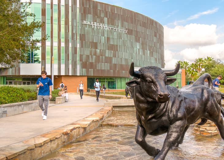 A fountain statue of a bull in front of a stone university building.