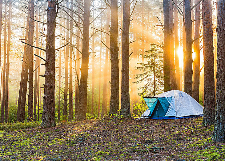 National forests with campgrounds open year-round in North Dakota
