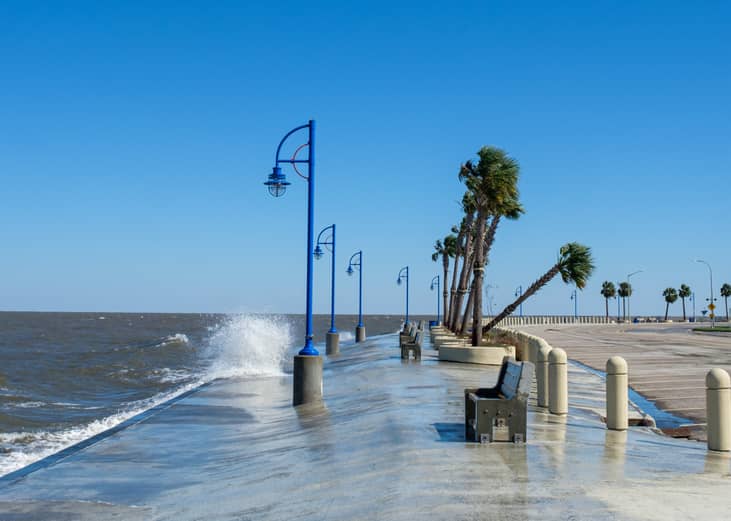 #38. Louisiana