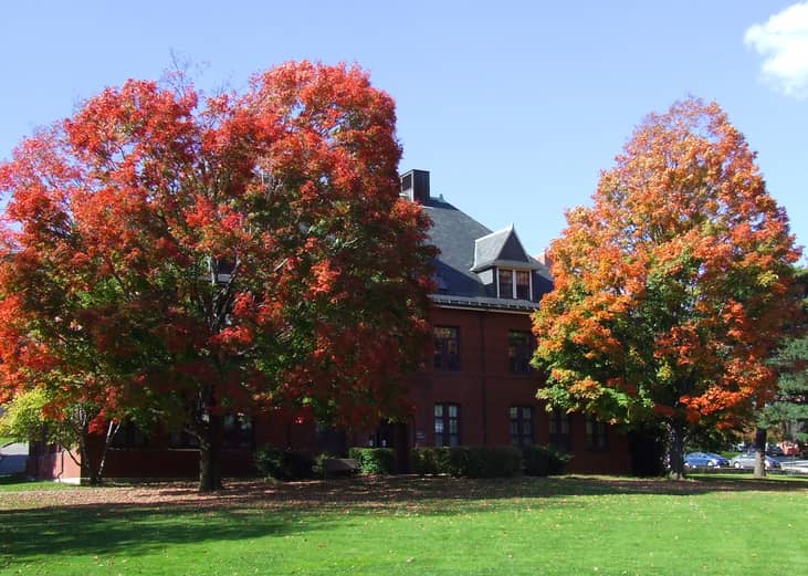 #59. Tufts University