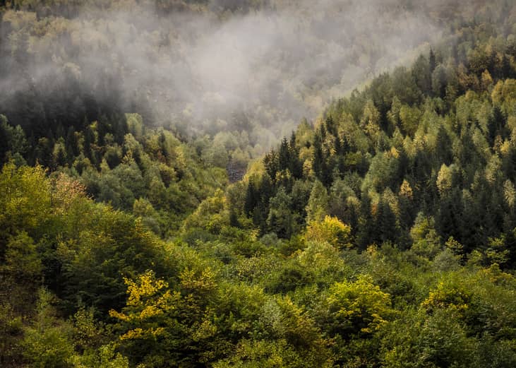 Mountain autumn landscape with colorful forest