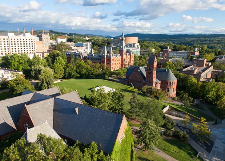 #41. Cornell University
