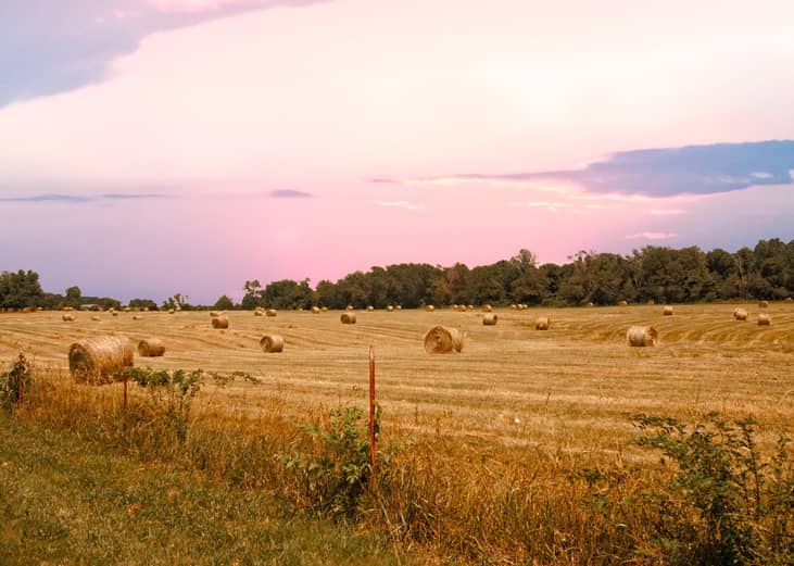 Alabama: Baldwin County