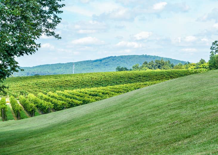 #33. Virginia