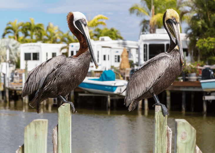 Florida
