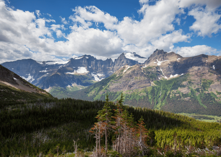 Montana