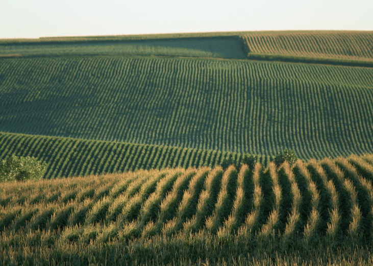 Nebraska