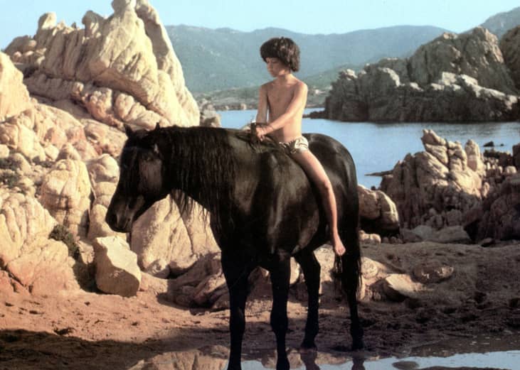 The Black Stallion (1979)