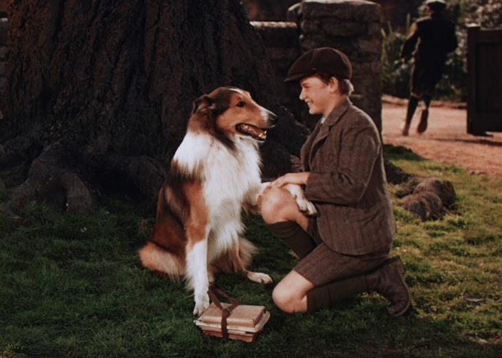Lassie Come Home (1943)