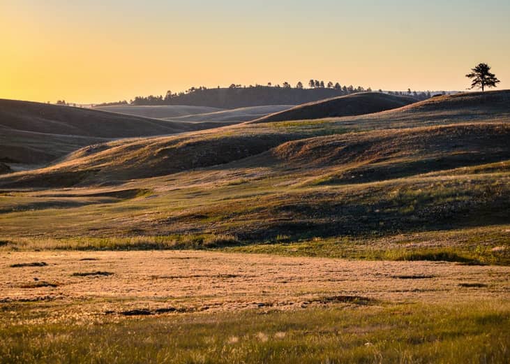 #20. Wind Cave National Park (South Dakota)