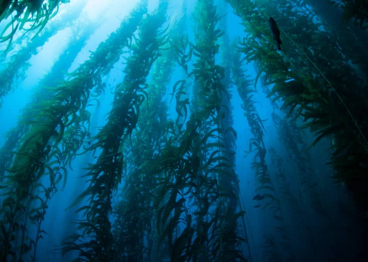 Closest national parks to Santa Cruz