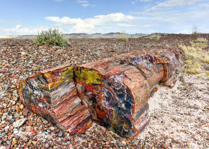 #28. Petrified Forest National Park (Arizona)