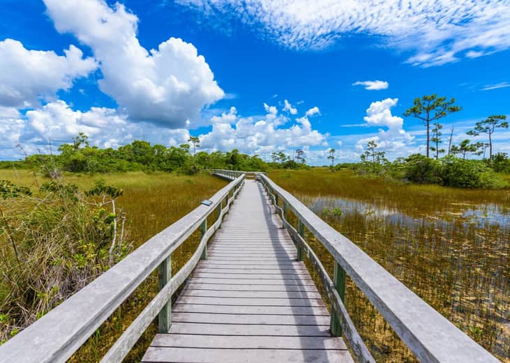 #11. Everglades National Park (Florida)