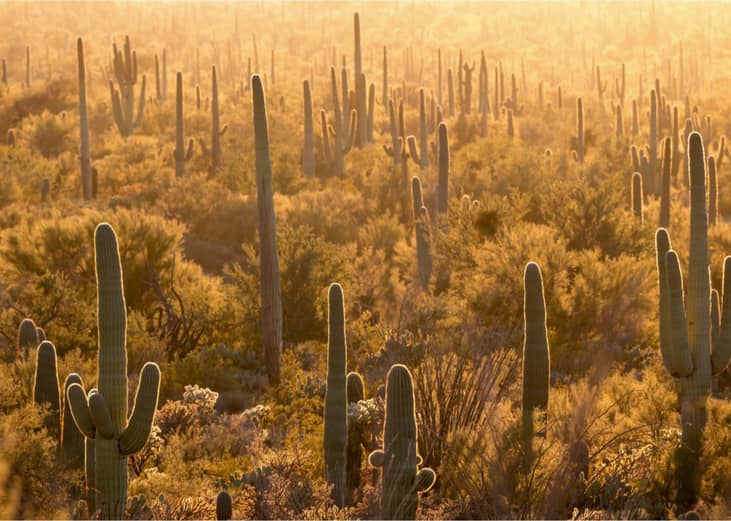 Closest national parks to Laredo