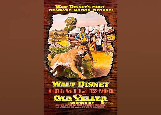 #7. Old Yeller