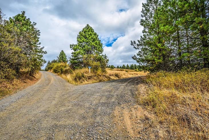 "Two roads diverged in a wood..."