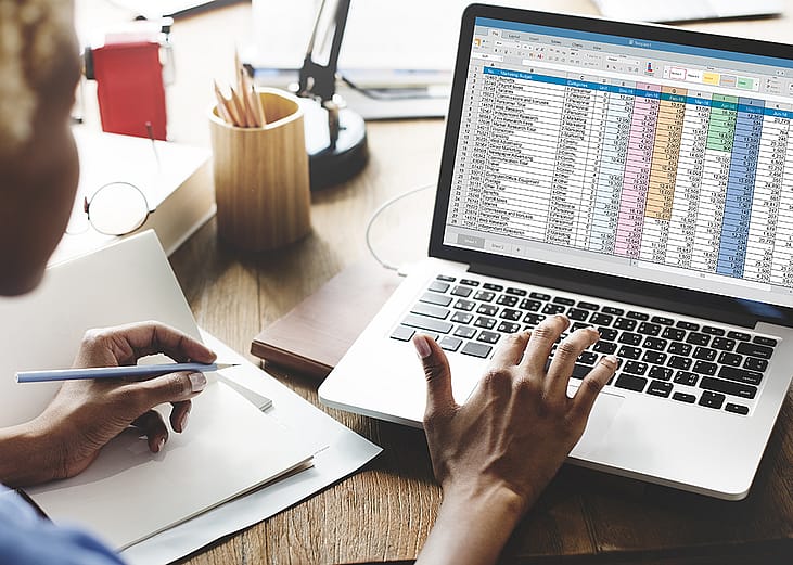 Young female entrepreneur looking at a spreadsheet report.