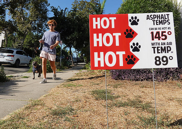 A person walks their dog in the morning when temperatures climb.