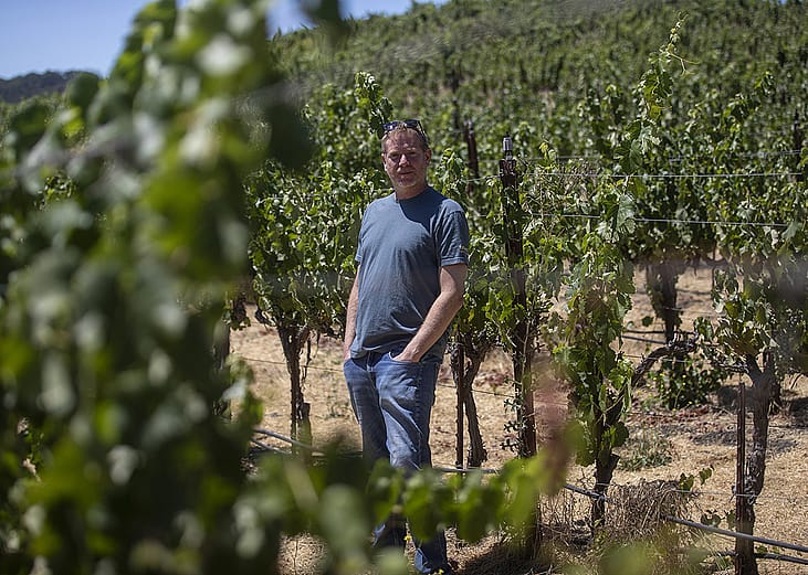 Jason Haas, owner of Tablas Creek Vineyard, stands amongst rows of grape vines at his vineyard in Paso Robles on July 30, 2025. 