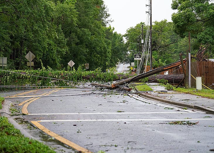 Toppled trees on a road in Tallahassee, Florida after multiple tornadoes and winds.