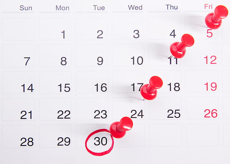 Pushpins on a calendar with an encircled date.