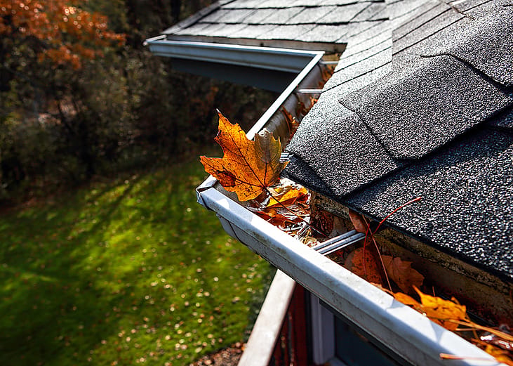 Autumn leaves settle in a rain gutter on a roof.