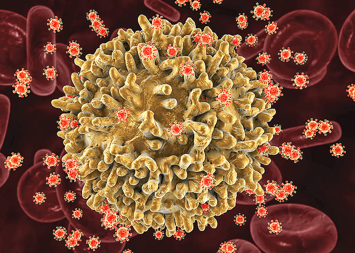 A 3D illustration of HIV infecting the T-lymphocyte cell.