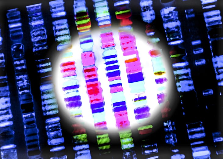 DNA sequence.