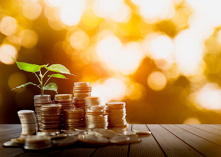 Stack of coins growing a small plant as a concept of financial growth.
