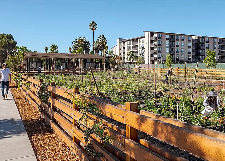 A neighborhood community where two people were seen urban farming.