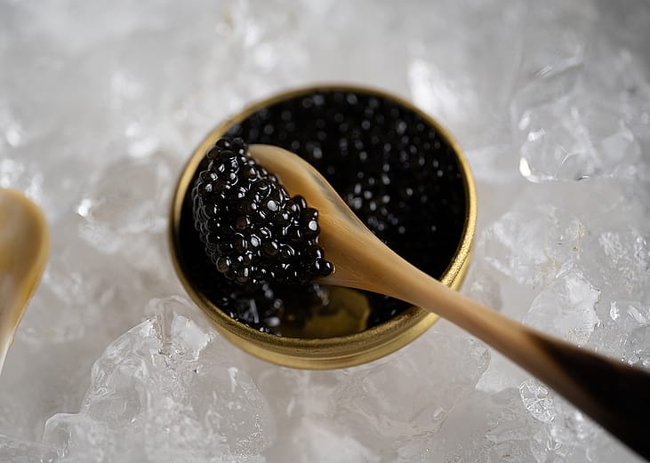 A spoonful of luxurious black caviar.