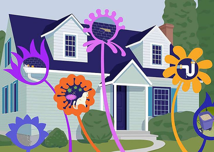 A graphic illustration of a house and home maintenance icons.