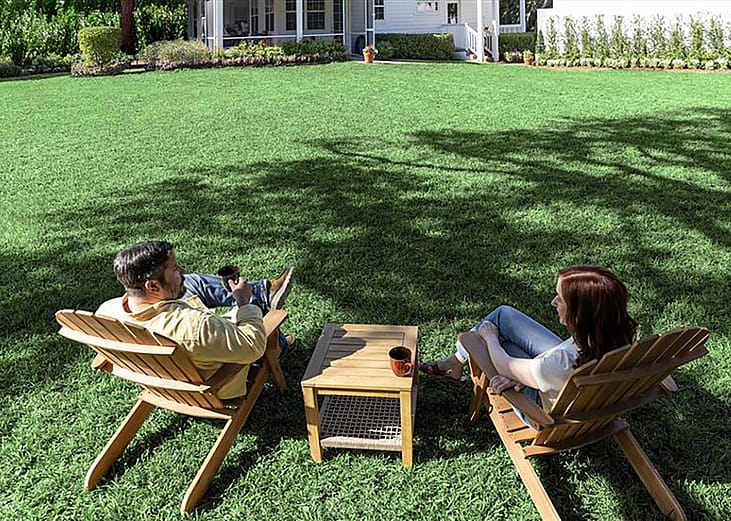 A couple sitting under the shade of trees in their backyard.