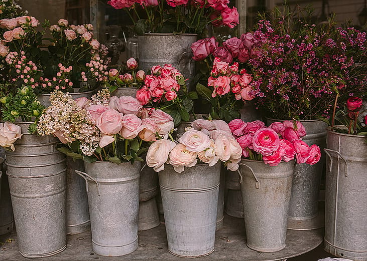 Pink roses and other flowers in buckets from a flower shop.