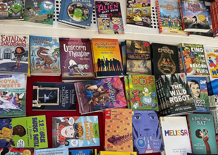 Various books for middle graders. 