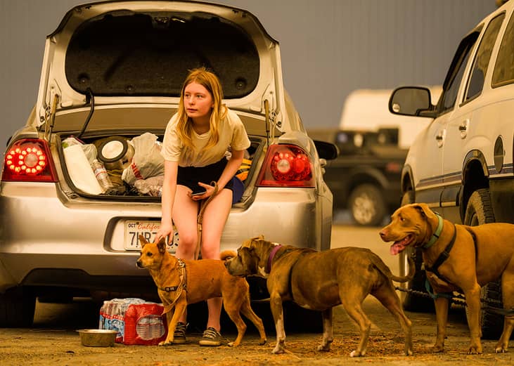 A teen petting her dog while waiting with her family to be escorted from an evacuation zone during a creek fire in Shaver Lake, California, USA.