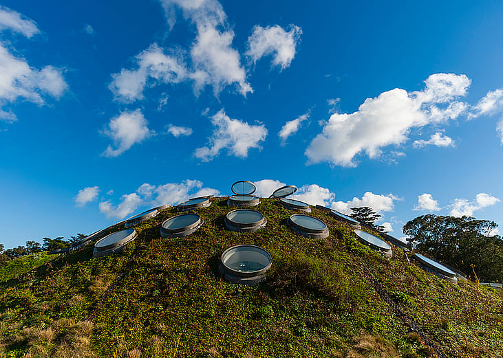 The living green seen as the landscaped roof of the California Academy of Sciences in San Francisco, California, USA.