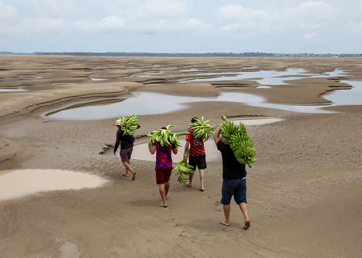 Aerial view of riverbank dwellers carrying banana produce over the dry Solimoes riverbed in the Pesqueiro community in Manacapuru, Amazonas state in northern Brazil.