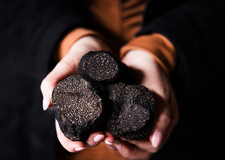 Medium-sized truffles from Canberra
