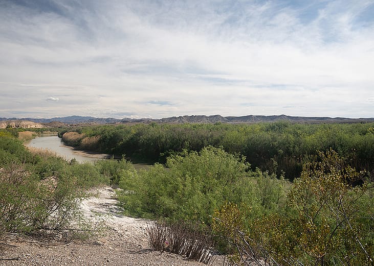 The banks of the Rio Grande near Presidio, Texas.
