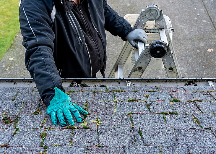 Man on top of a ladder cleaning moss and dirt from a building roof.