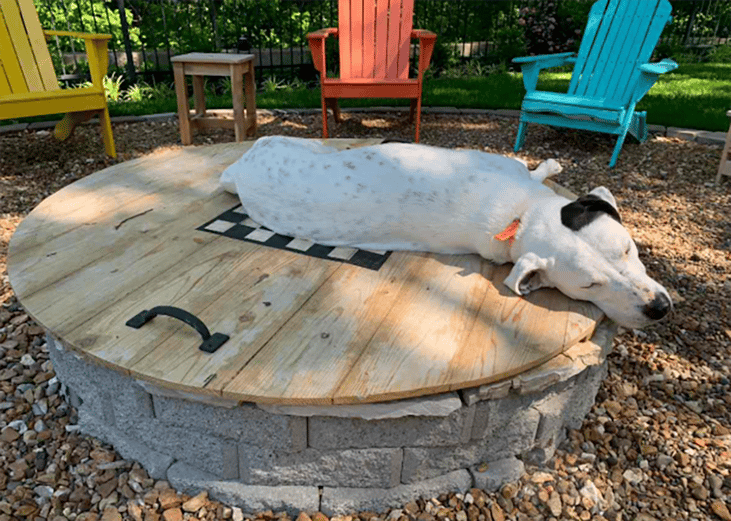 A white dog with gray spots and a black patch on ear snoozes on the wooden lid of a backyard fire pit and checkerboard surrounded by colorful Adirondack chairs.