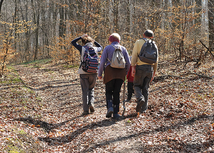 A family of young and senior adults hiking a forest.