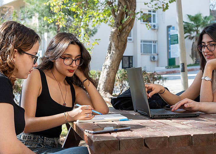 A group of female college students studying outdoors in campus.